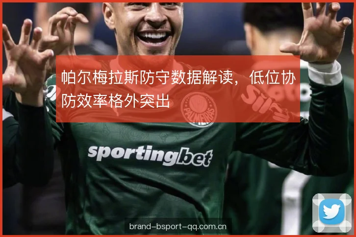 帕尔梅拉斯防守数据解读，低位协防效率格外突出